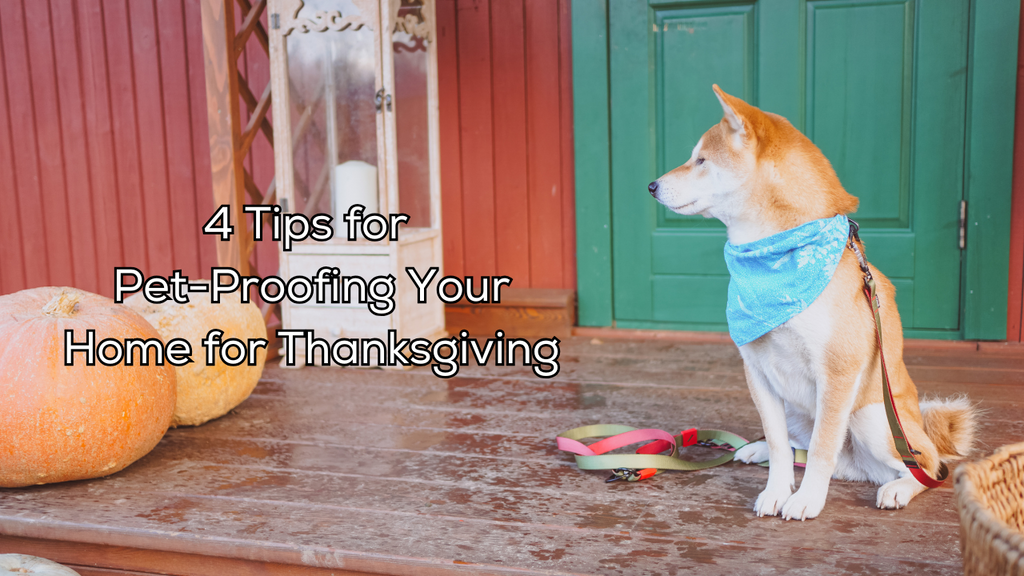 4 Tips for Pet-Proofing Your Home for Thanksgiving