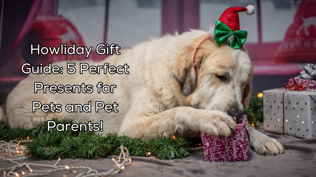 Howliday Gift Guide: 5 Perfect Presents for Pets and Pet Parents!