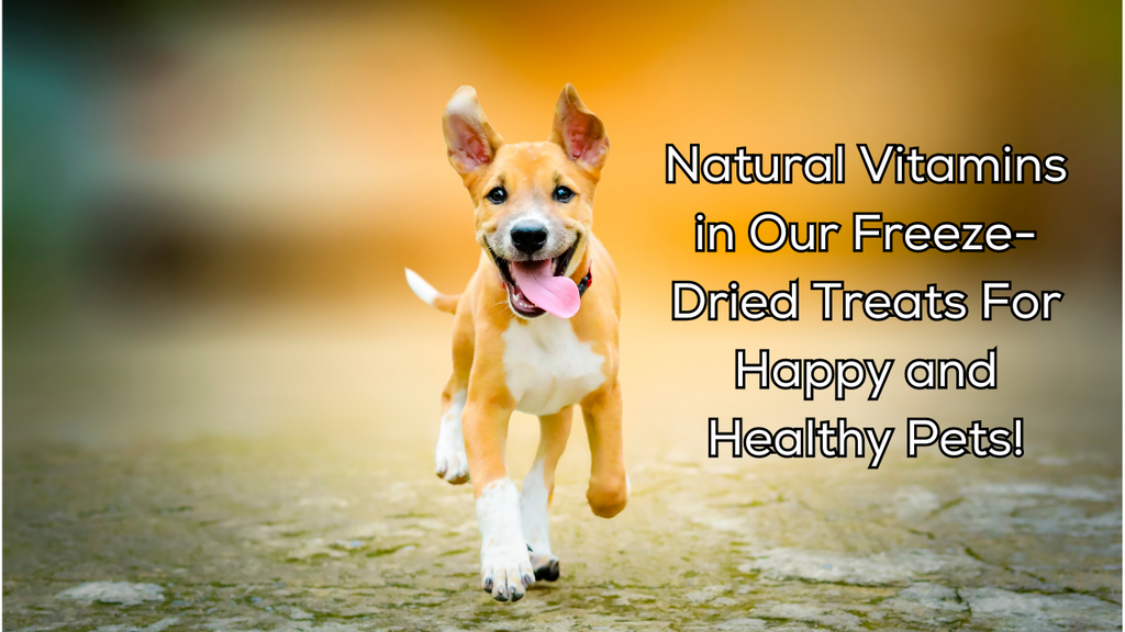 Natural Vitamins in Our Freeze-Dried Treats For Happy and Healthy Pets!