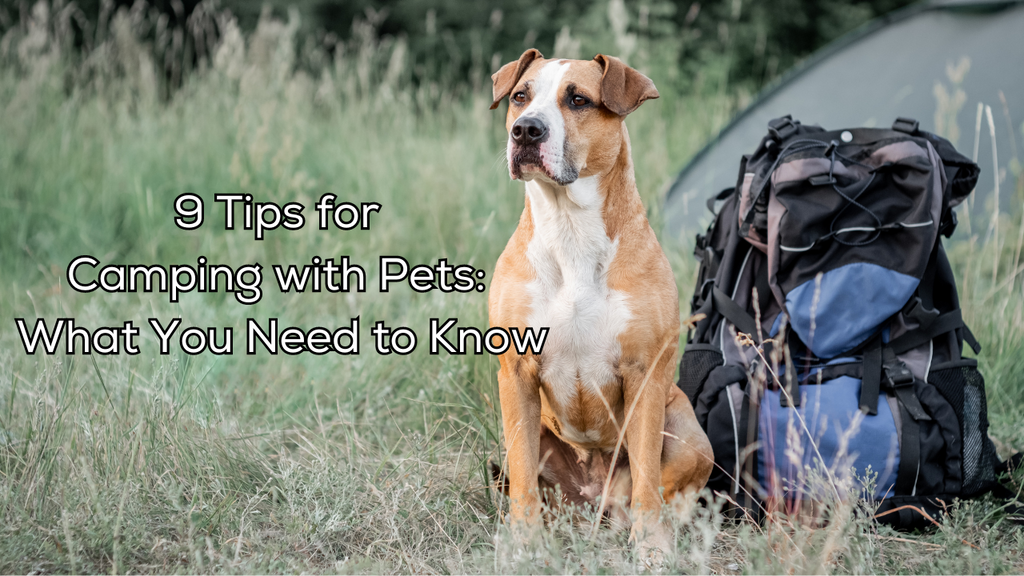 9 Tips for Camping with Pets to Know Before You Go