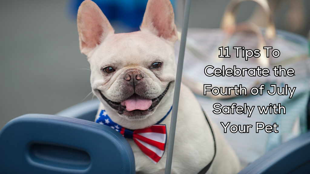 11 Tips To Celebrate the Fourth of July Safely with Your Pet