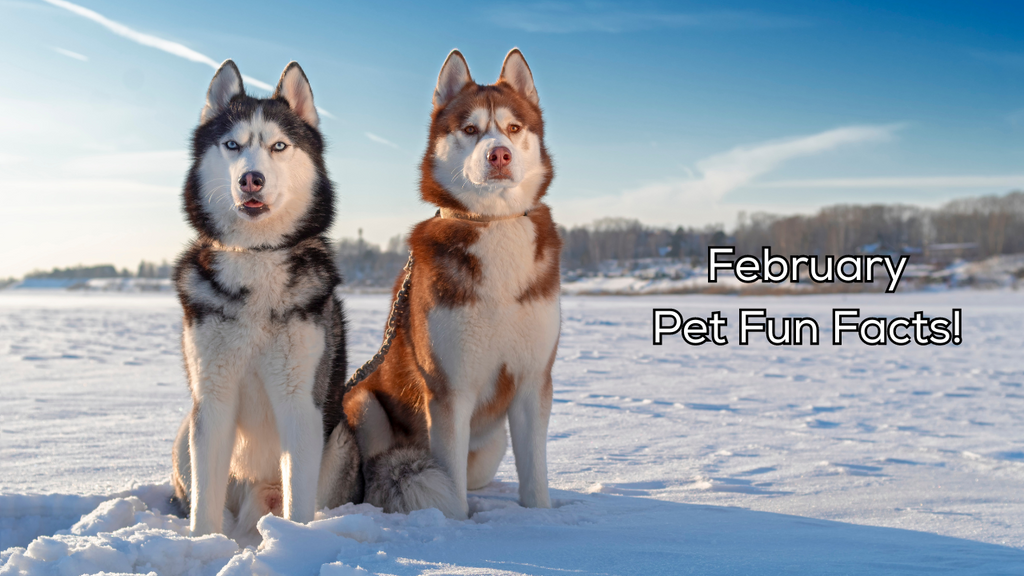 February Pet Fun Facts!