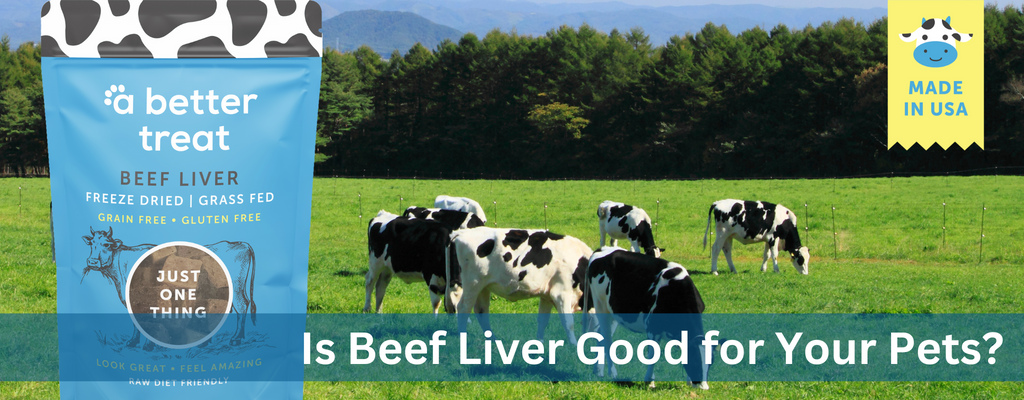 Is Liver good for Dogs and Cats Everyday?