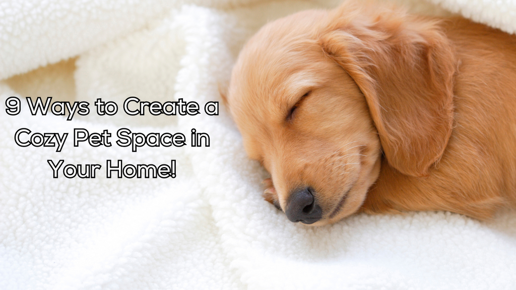 9 Ways to Create a Cozy Pet Space in Your Home