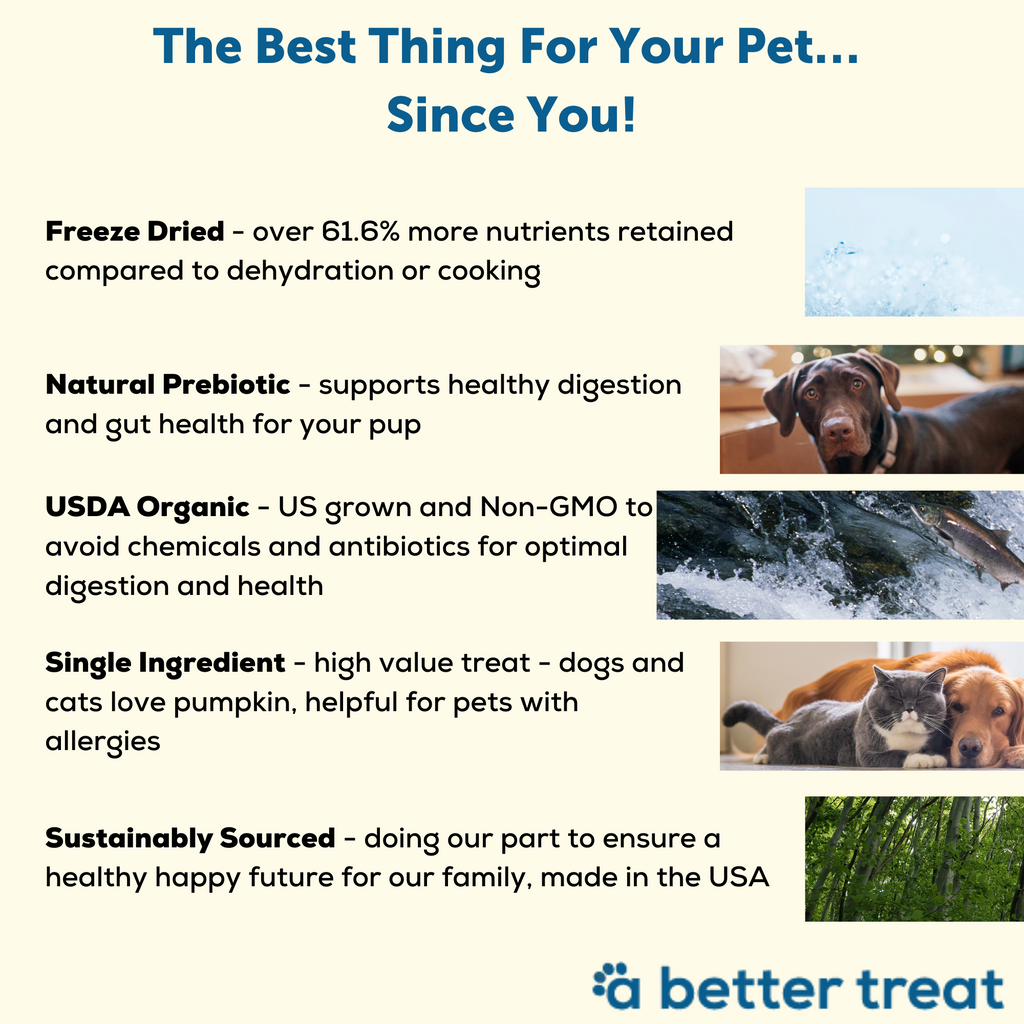 A Better Treat Freeze Dried Raw USDA Organic Pumpkin Dog and Cat Treats